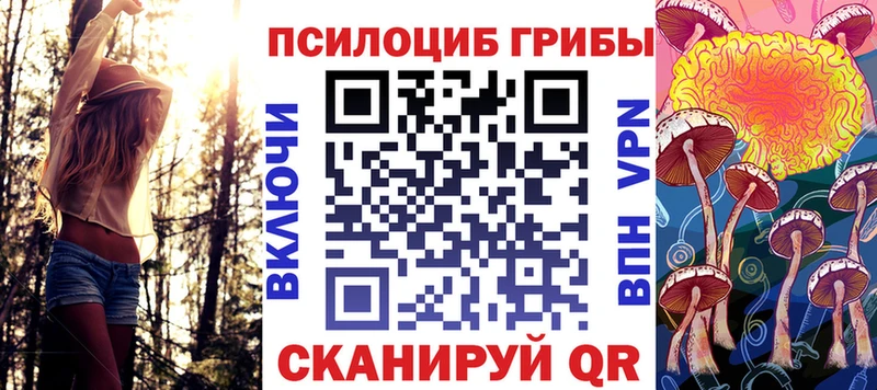 Псилоцибиновые грибы мицелий  Купить закладки  Минусинск 